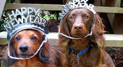 Happy New Year!!!