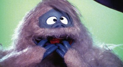 Bumbles Bounce! Safely Clean Snow From Roofs & Gutters