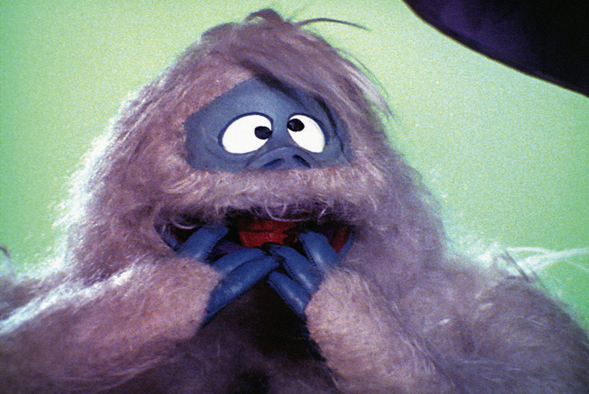 Bumbles Bounce! Safely Clean Snow From Roofs & Gutters